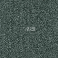 Ковровая плитка Modulyss Millennium Nxtgen Millennium Nxtgen 579 фото 1 | FLOORDEALER